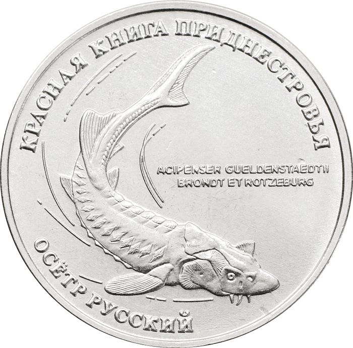 1 рубль 2018 Приднестровье «Русский осётр»