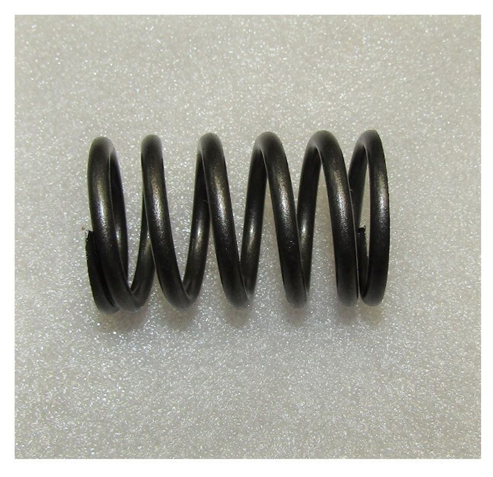 Пружина клапана внешняя Ricardo Y485BZD; TDK 22 4L/Valve outer spring