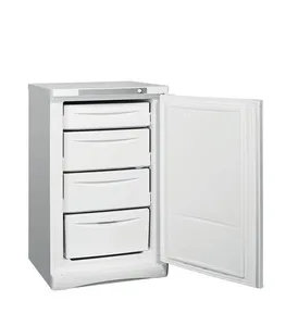 Морозильная камера Indesit SFR 100 – 2