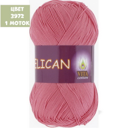 Pelican (Vita)