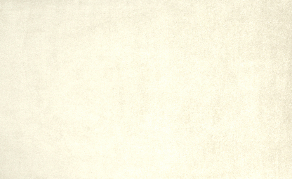 Велюр Нью Йорк 02