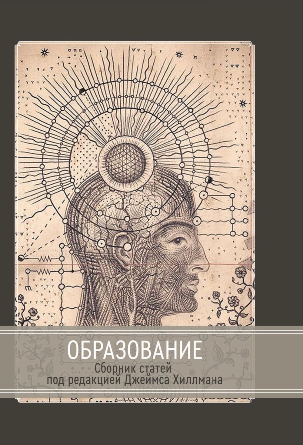 Образование