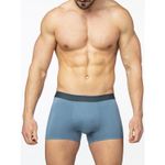 Мужские трусы боксеры голубые Sergio Dallini SD2908-3