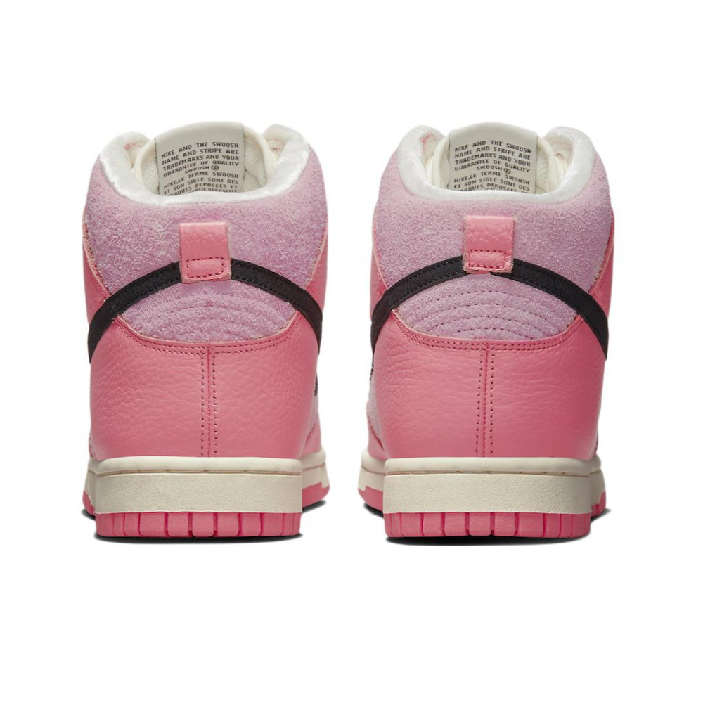 Женские кроссовки Nike Dunk High 'Hoops Pack' DX3359-600