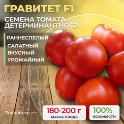 ГРАВИТЕТ F1 семена томата (Syngenta | Alexagro)
