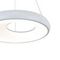 Подвесной светодиодный светильник Indigo Cratere 14016/1P White V000153L