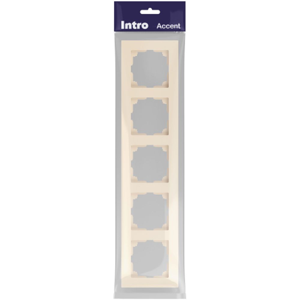 Рамка для розеток и выключателей Intro Accent 6-505-02 на 5 постов, СУ, сл.кость