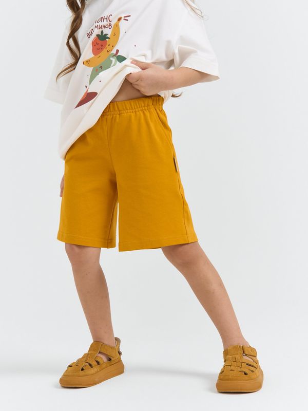 Шорты трикотажные 