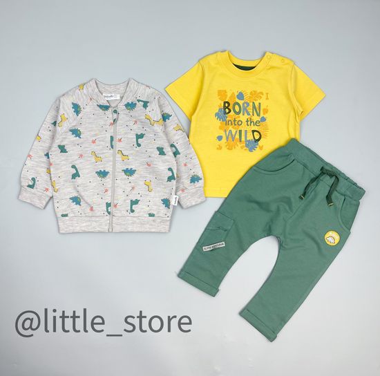 Комплект из футера "Roaring dinosour" с футболкой