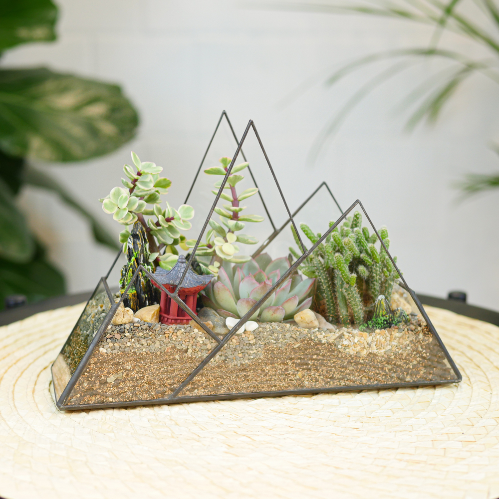 Готовый флорариум с суккулентами Горы "Дух востока"