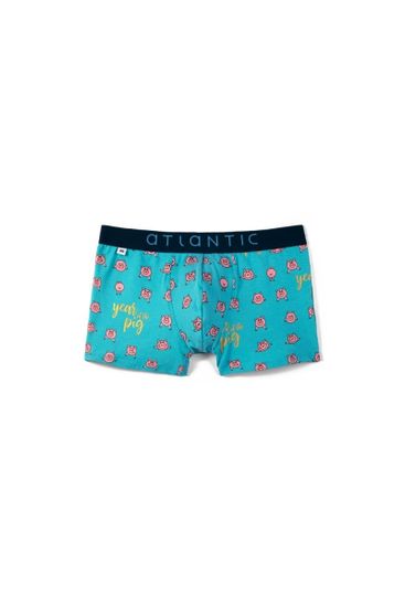 Шорты мужские ATLANTIC MH-1054