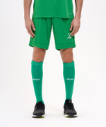 Шорты игровые DIVISION PerFormDRY Union Shorts, зеленый