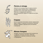 Сухой корм CRAFTIA HARMONA для взрослых собак мини пород из лосося с сельдью 640 гр
