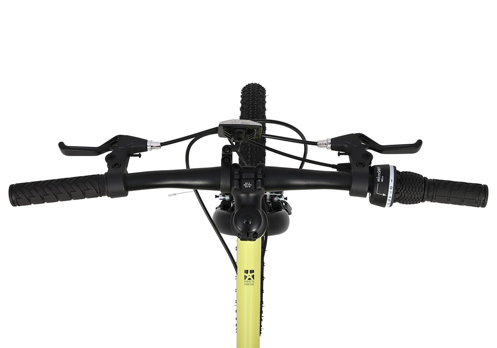 Maxiscoo 3BIKE 20'' M (2025)