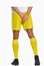 Шорты adidas Squadra 21