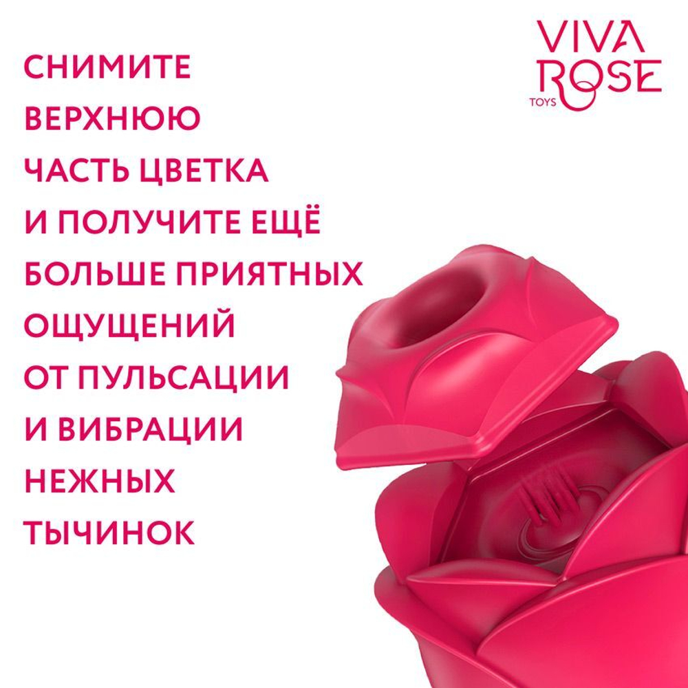 Малиновый двойной вибростимулятор (Цвет: малиновый)