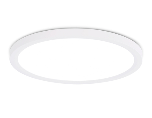 FZ1909 WH белый IP54 44W 3000K-6500K CCT-переключатель D600*25 (Без ПДУ)