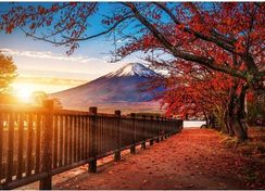 Puzzles - "1000 Premium Plus" - Photo Odyssey: Mount Fuji , Japan_FSC Mix 70%