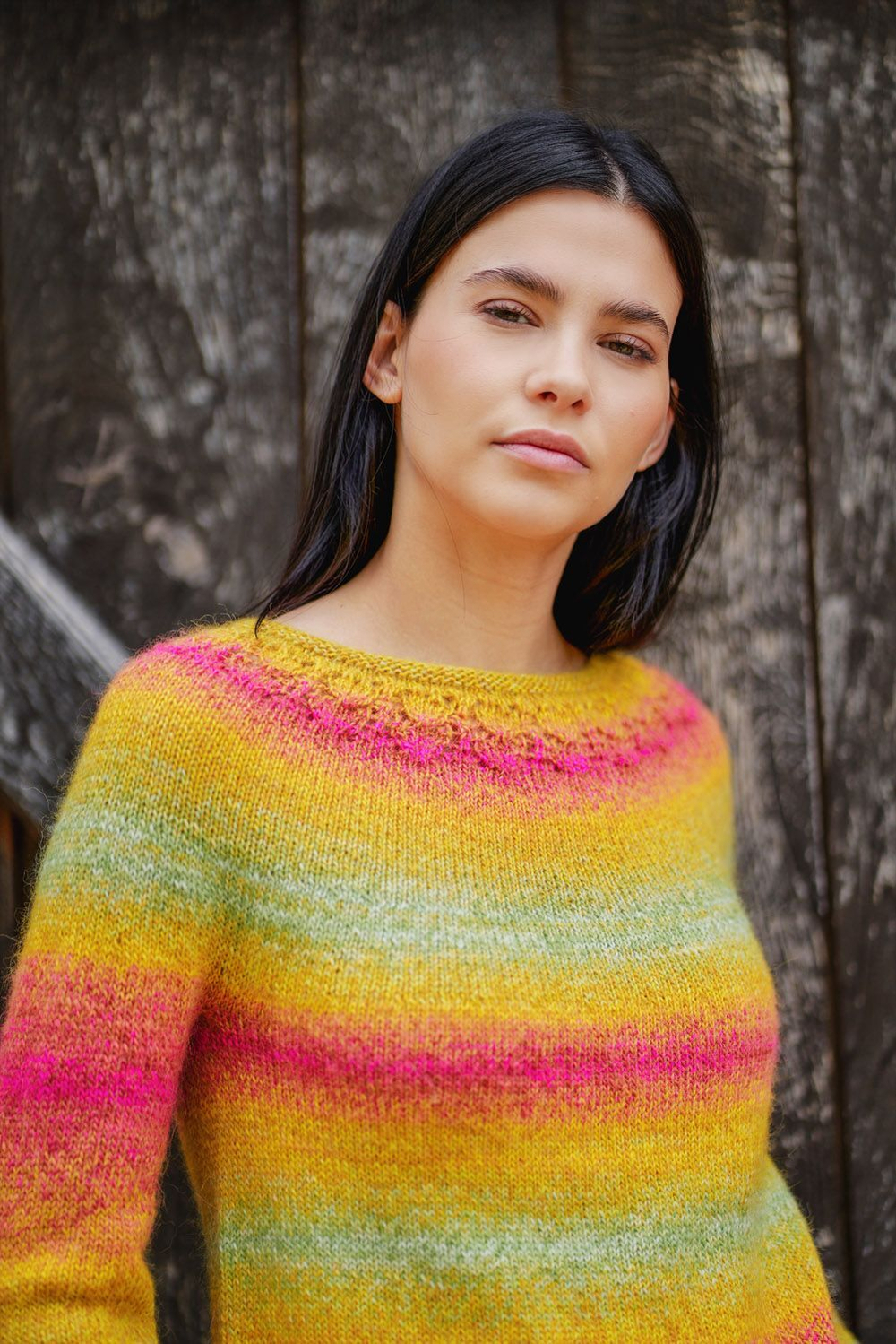 Пряжа Laines du Nord Andina Color (02)