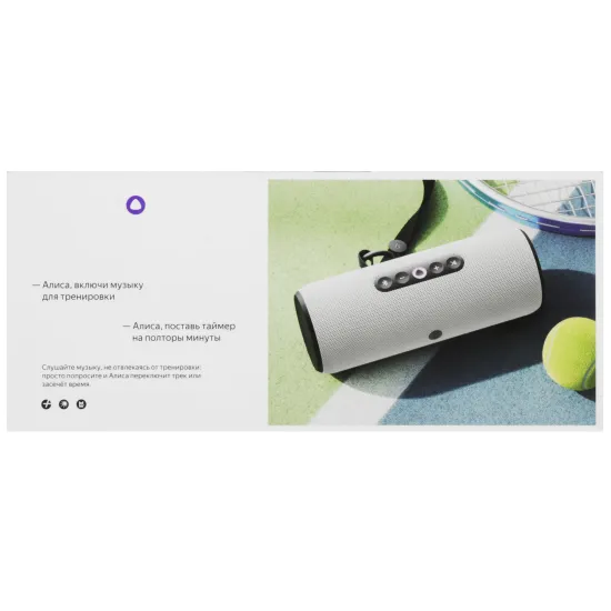 Умная портативная колонка Яндекс Станция Стрит с Алисой, серый