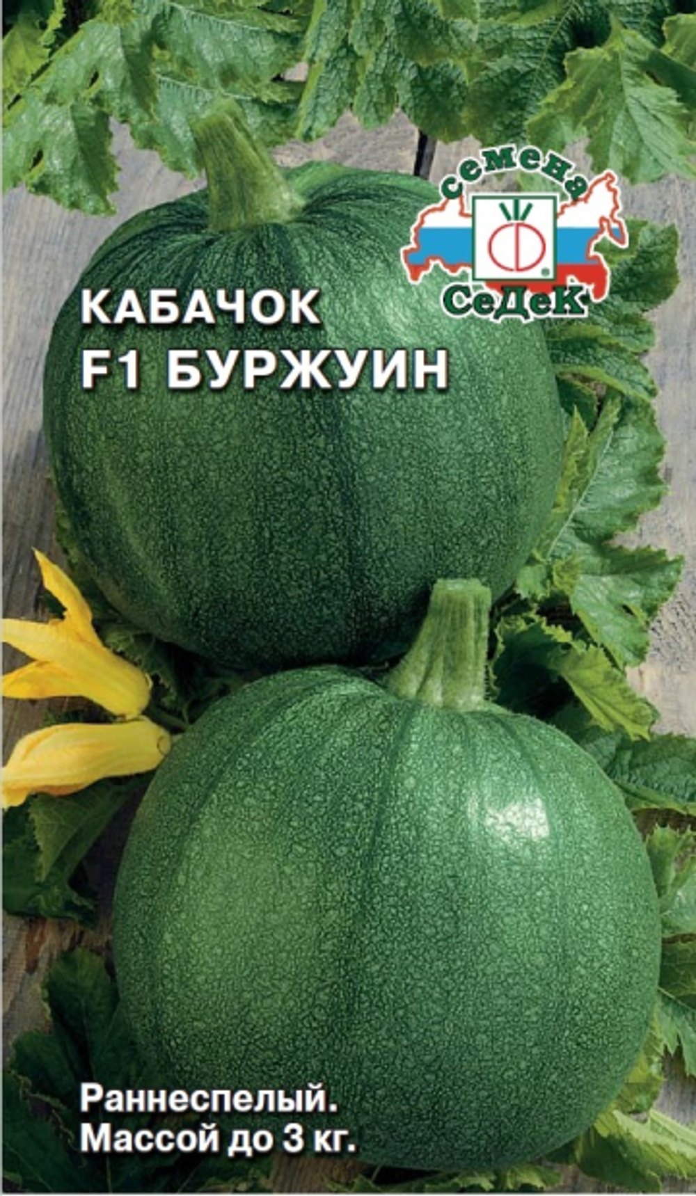 кабачок Буржуин