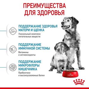 Корм для щенков до 2-х месяцев и беременных сук, Royal Canin Medium Starter Mother & Babydog