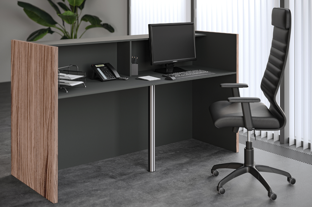 Стойка ресепшен вариант 2 DALI (ДАЛИ)