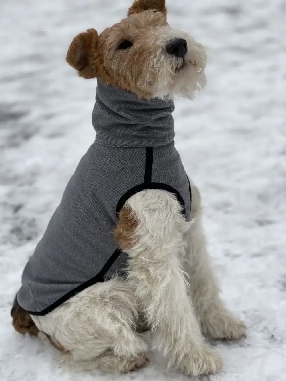 Свитер для собак одежда для басенжди