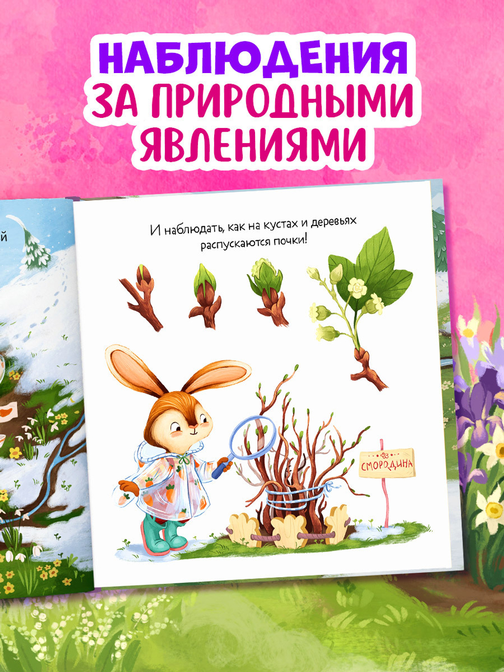 Книжки-картинки. Зайка и чудесная весна