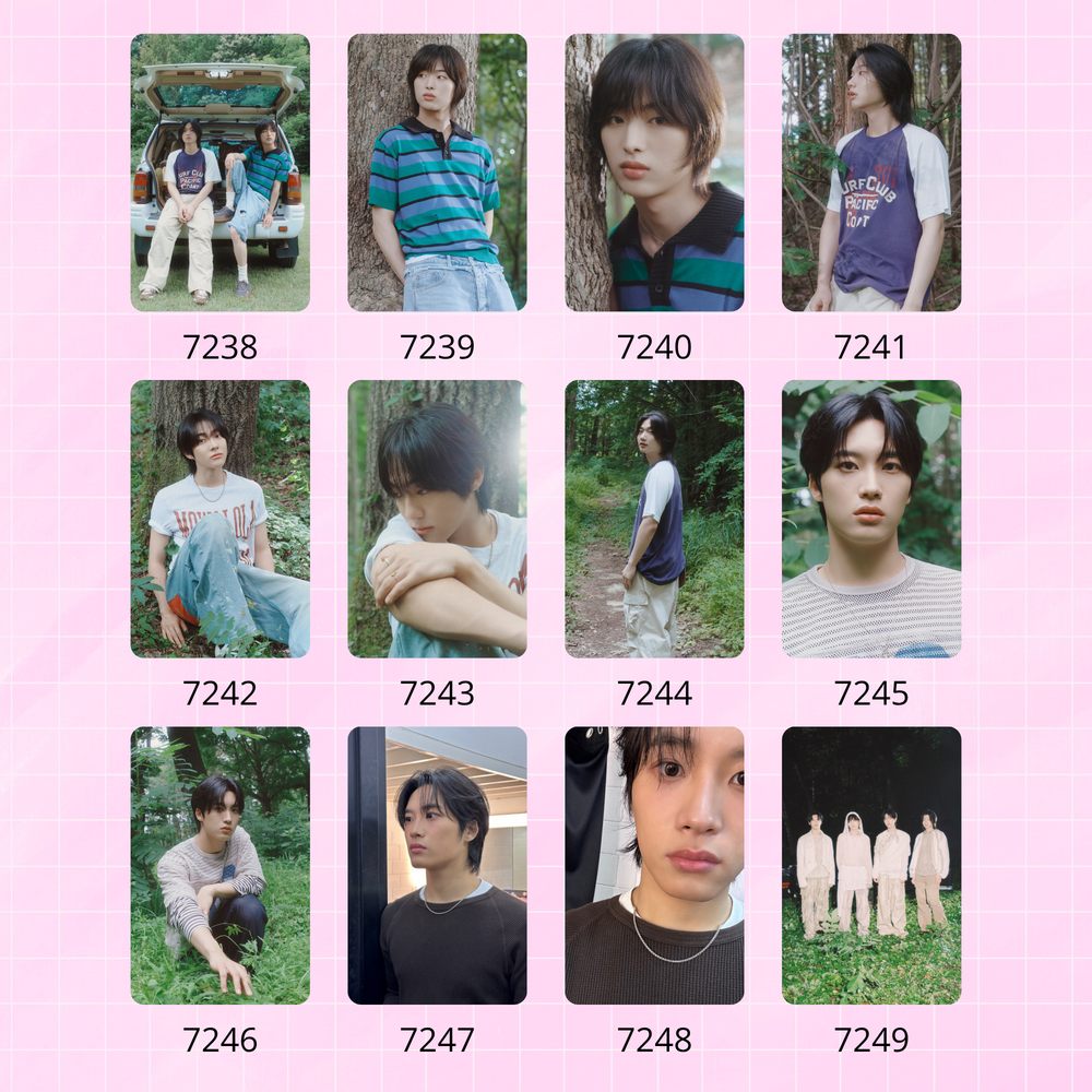 Карты / Dragon Pony