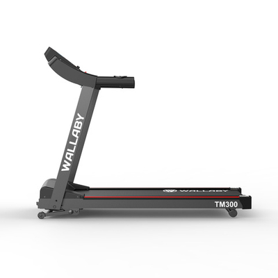 Беговая дорожка для дома электрическая Wallaby TM300