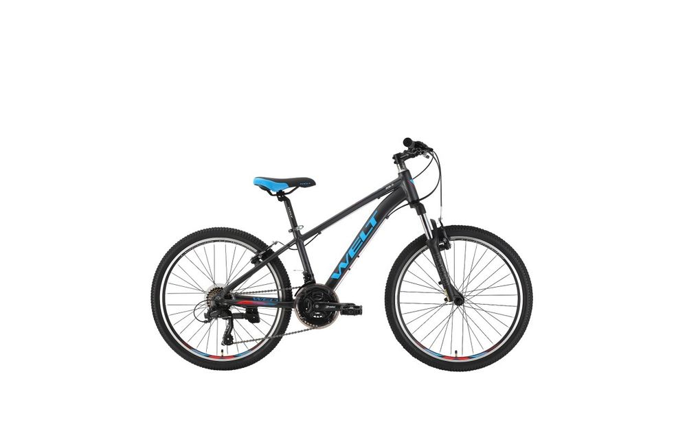 Подростковый велосипед Welt Peak 24 V (2023)