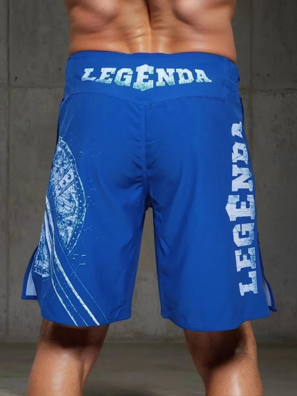 Шорты спортивные тренировочные Legenda Щит и Меч синий