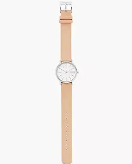 Женские часы Skagen SKW2839