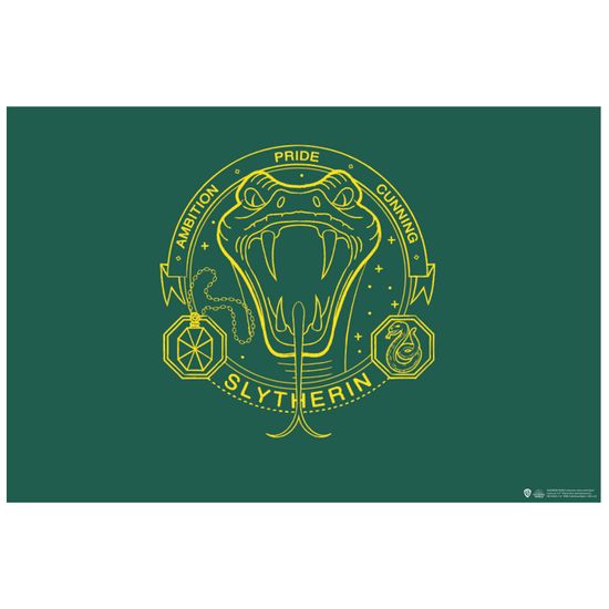 Коврик придверный Гарри Поттер Слизерин HDM011