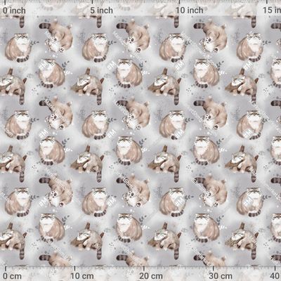 кот манул на сером фоне by E.KK8 545 DPI