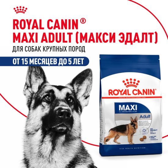 Royal Canin Maxi Adult для взрослых собак крупных пород