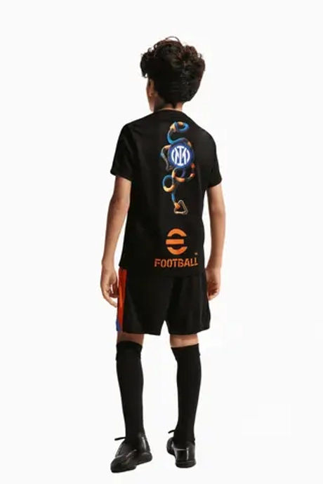 Футболка Nike Inter Milan x ACG 25/26 Academy Pro Junior - черный