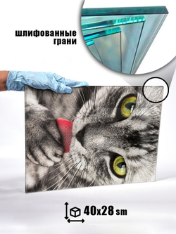 Модульная стеклянная интерьерная картина / Фотокартина на стекле / Серая кошка, 28x40 см. Декор для дома, подарок