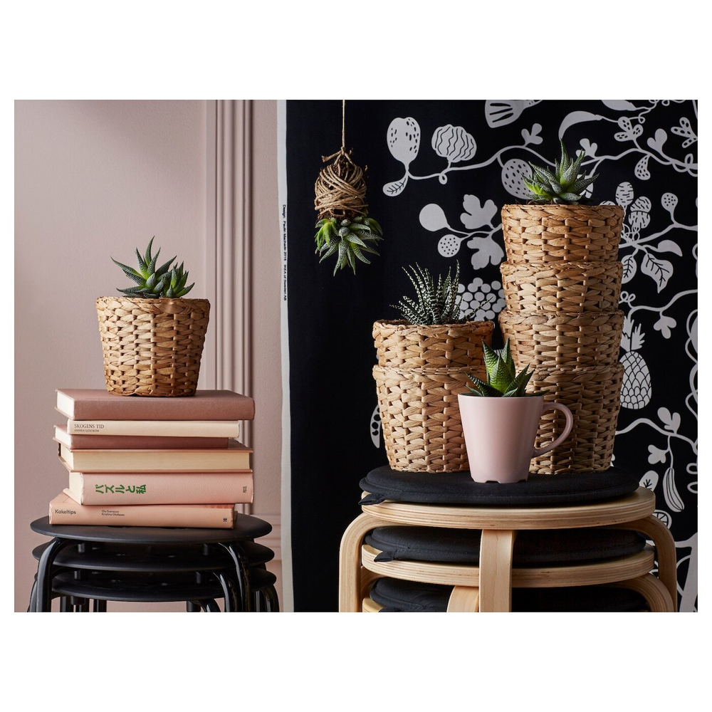 IKEA FRIDFULL  (ИКЕА ФРИДФУЛЛ)  -  Крышка для горшка, Водяной гиацинт, 12 см