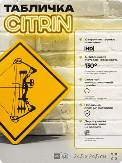 Табличка декоративная "Лук для спортивной стрельбы" на дверь и стену, спортивная, информационная, декоративный знак, 24,5х24,5 см, пластиковая, Айдентика Технолоджи