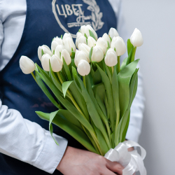 Тюльпаны белые под ленту