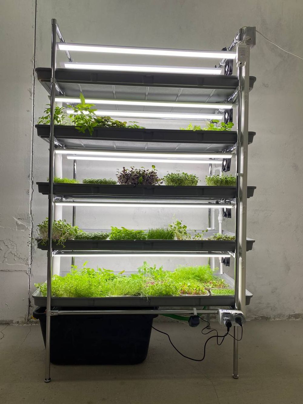 Шкаф для выращивания растений круглый год