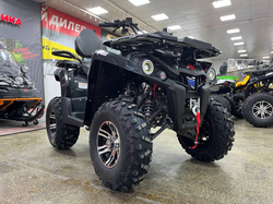 Квадроцикл PROMAX RENEGADE 300 LONG WINCH PRO (2025)