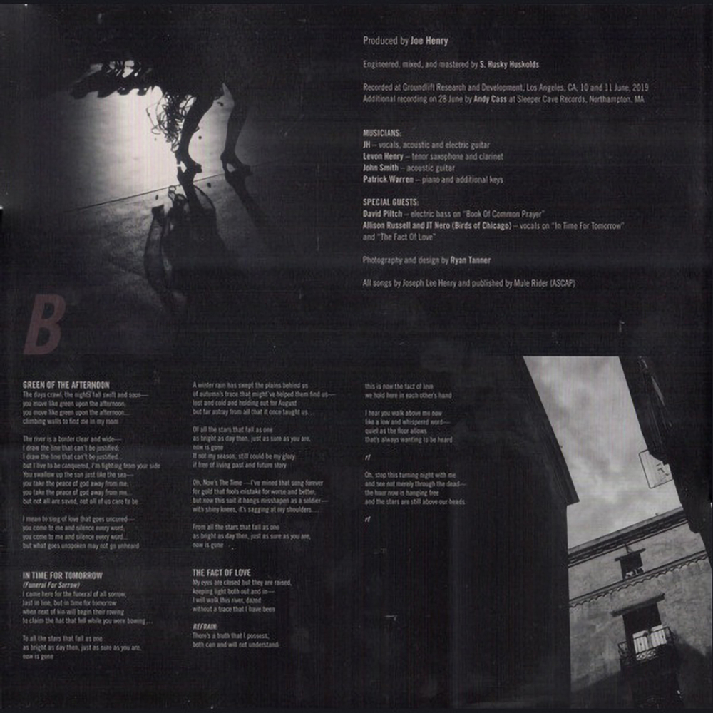 Joe Henry / The Gospel According To Water (2LP)