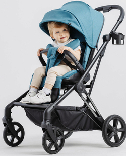Детская прогулочная коляска Rant Ace Blue