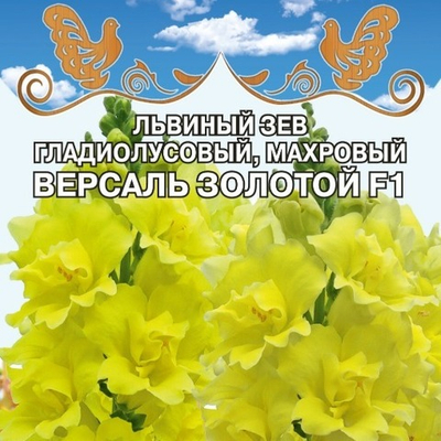 Львиный зев гладиолусовый, махровый  Версаль Золотой F1