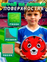 Мяч футбольный размер 2 детский