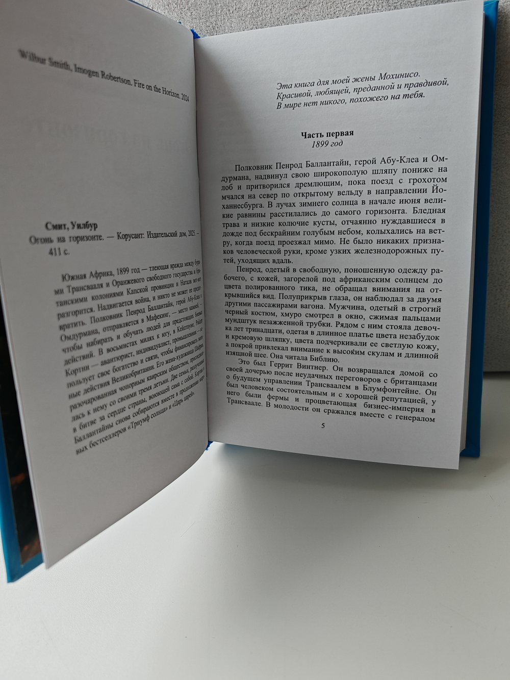 Огонь на горизонте