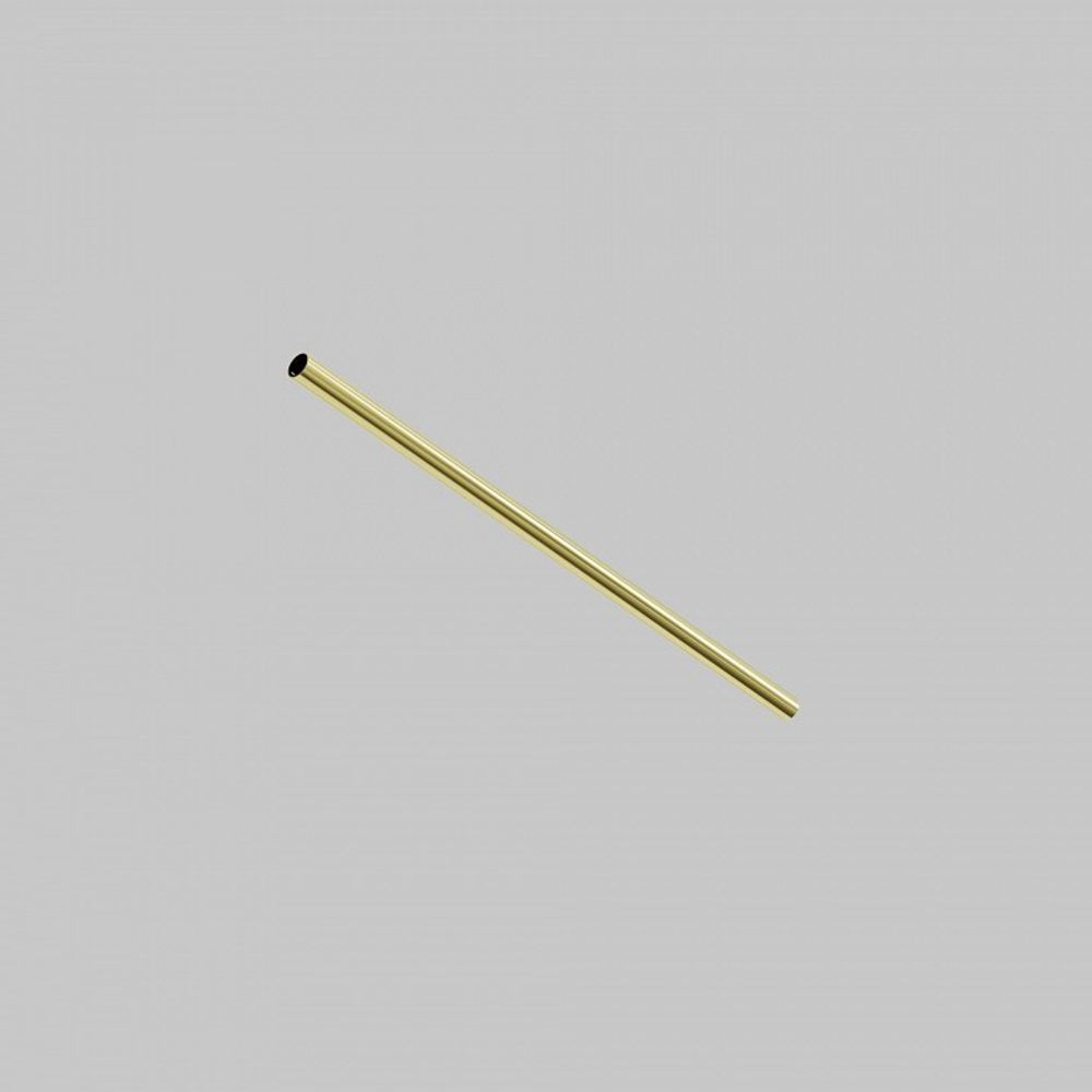 Штанги Maytoni Accessories for system Axity CA001-L500-BS